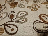 Goomba, spayed female, 3 years old, AKC Bronze Grand Champion